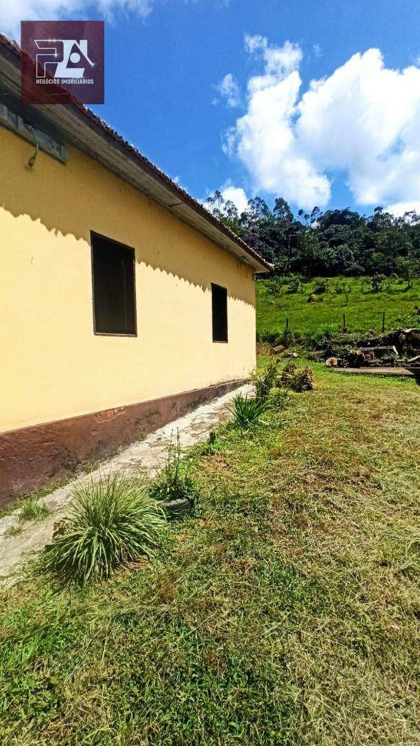 Fazenda à venda com 4 quartos, 1452000M2 - Foto 4