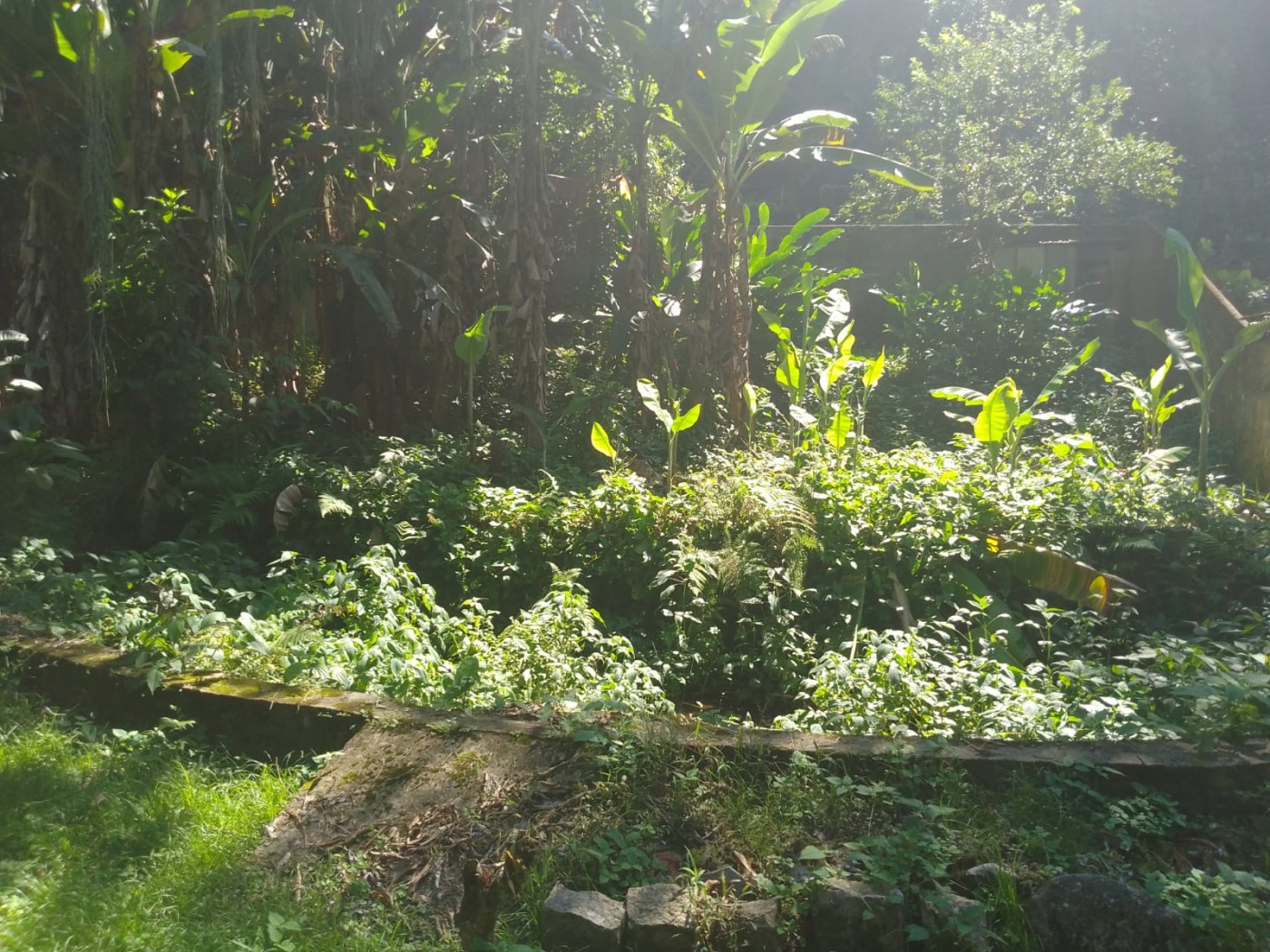 Terreno à venda, 600m² - Foto 2