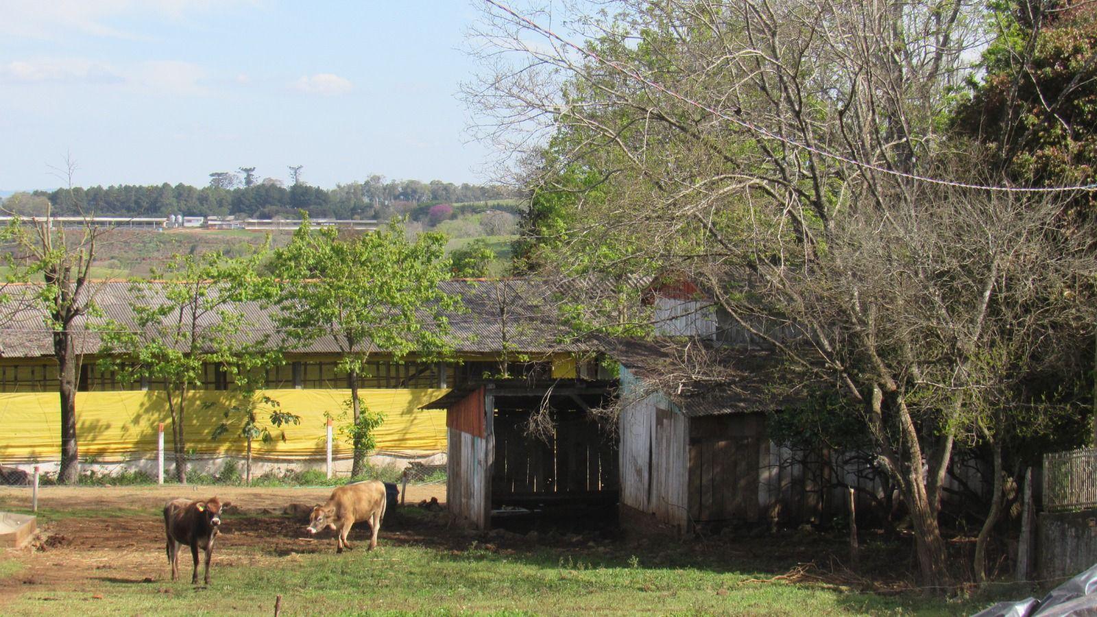 Fazenda à venda, 133000m² - Foto 30