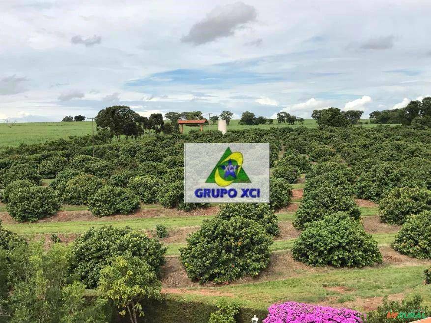 Sítio, 6 quartos, 25 hectares - Foto 21