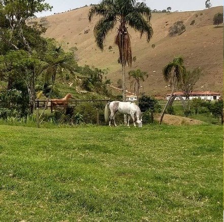 Fazenda à venda, 2300000m² - Foto 6