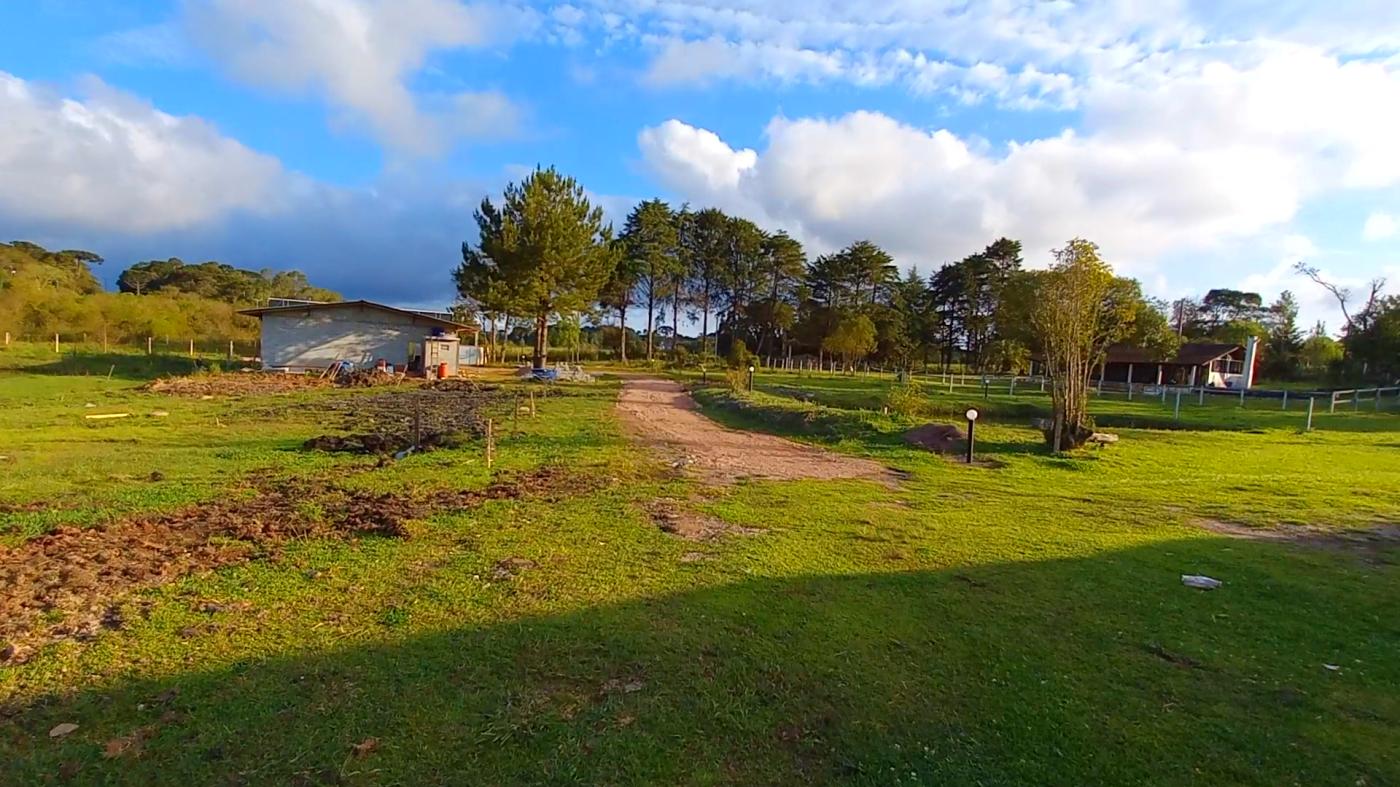 Fazenda à venda, 32800m² - Foto 6