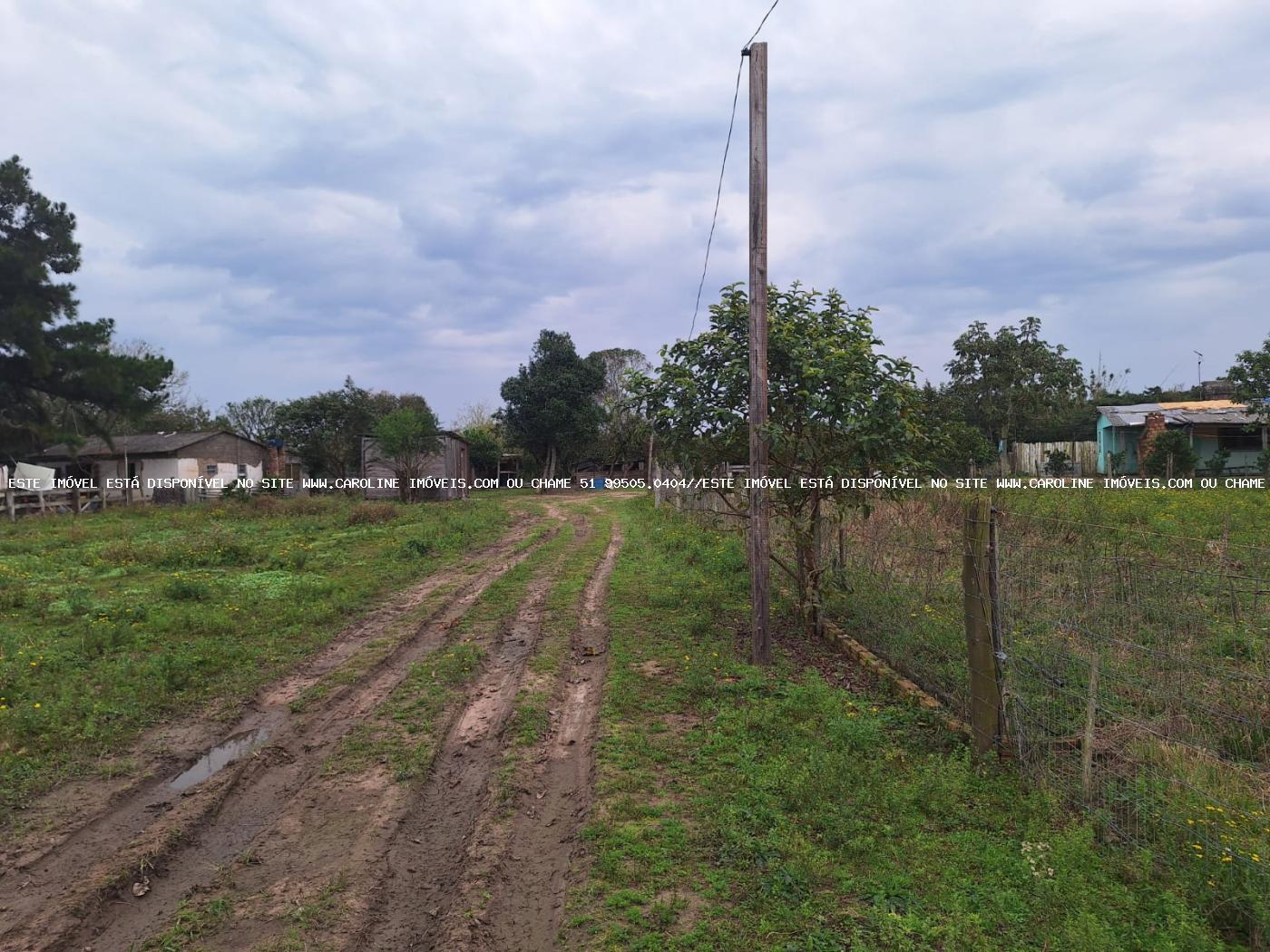 Fazenda à venda com 2 quartos, 6790m² - Foto 5