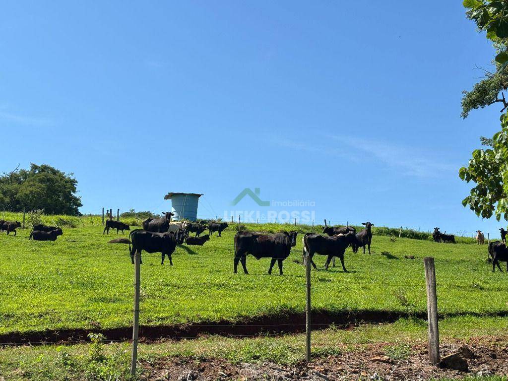 Fazenda, 581 hectares - Foto 4