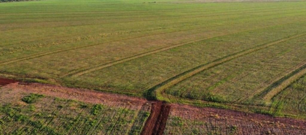 Fazenda à venda, 8615200M2 - Foto 6