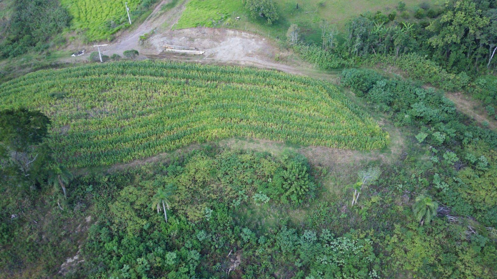 Terreno à venda, 30000m² - Foto 4