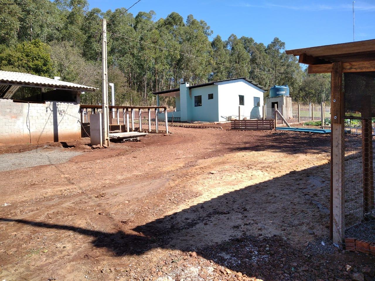 Fazenda para alugar com 3 quartos, 20000m² - Foto 21