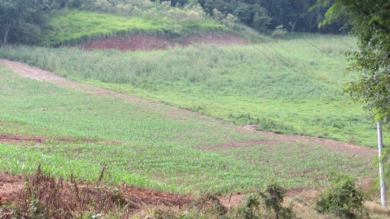 Loteamento e Condomínio à venda, 98000m² - Foto 44