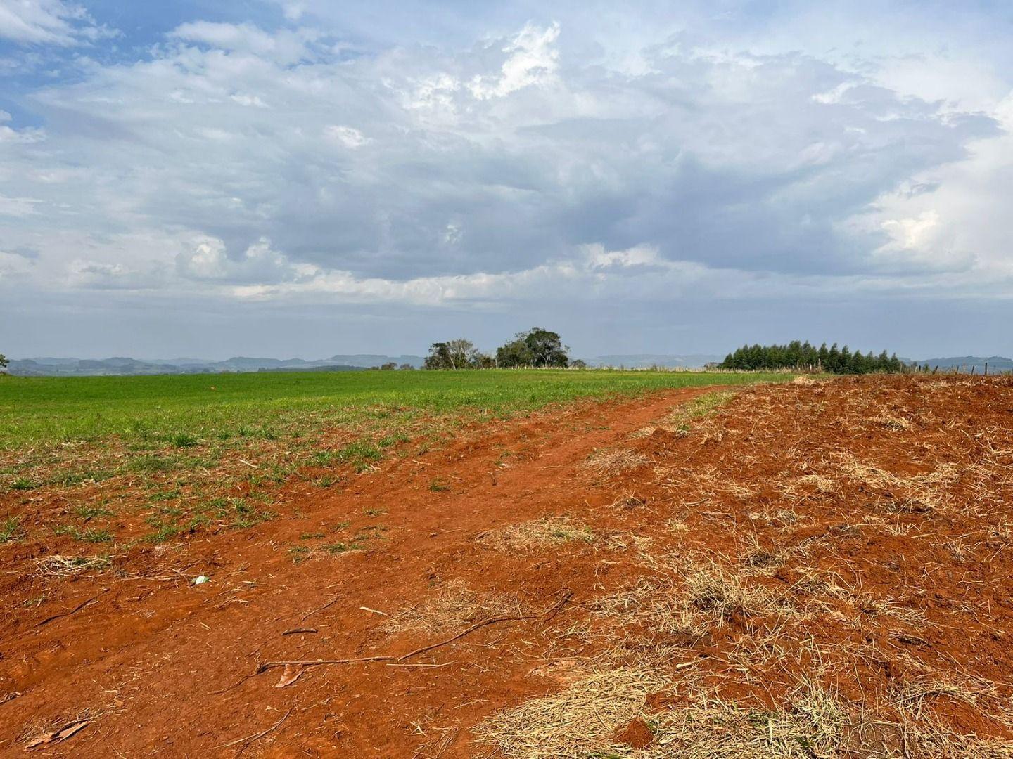 Terreno à venda, 30000m² - Foto 11