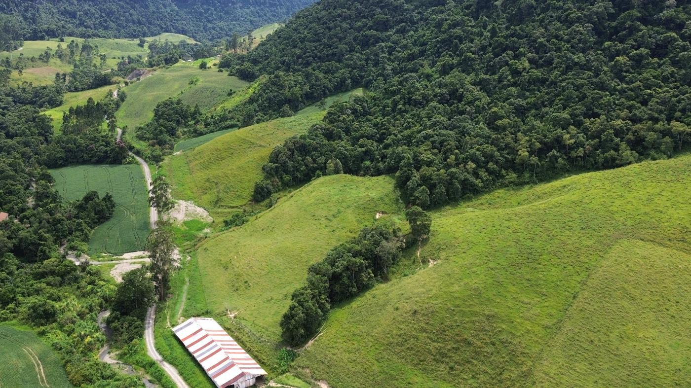 Fazenda à venda com 5 quartos, 450000m² - Foto 11