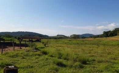 Fazenda à venda com 3 quartos, 110000m² - Foto 23