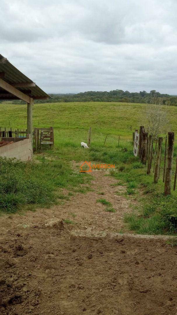 Fazenda à venda com 2 quartos, 2662000M2 - Foto 20