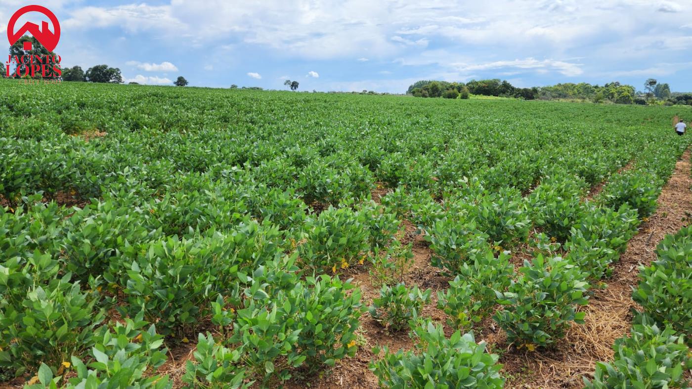 Fazenda à venda com 2 quartos, 300m² - Foto 11