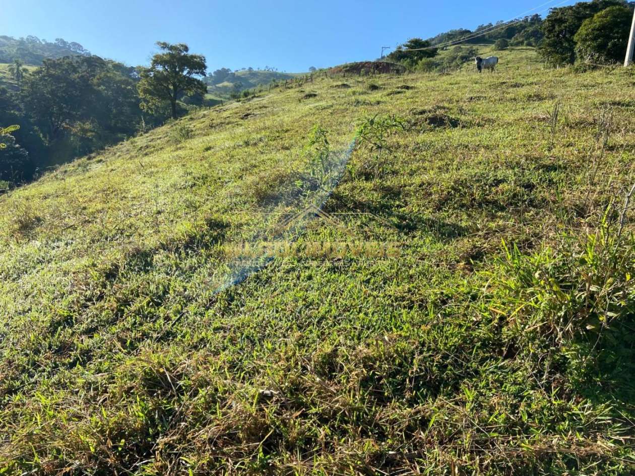 Terreno, 1 hectares - Foto 5