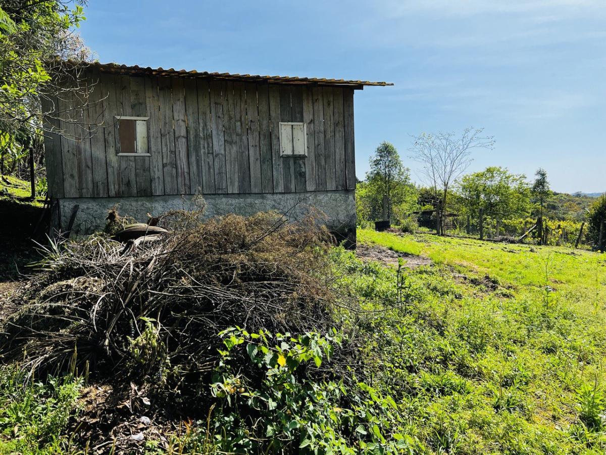 Fazenda à venda, 6300m² - Foto 31