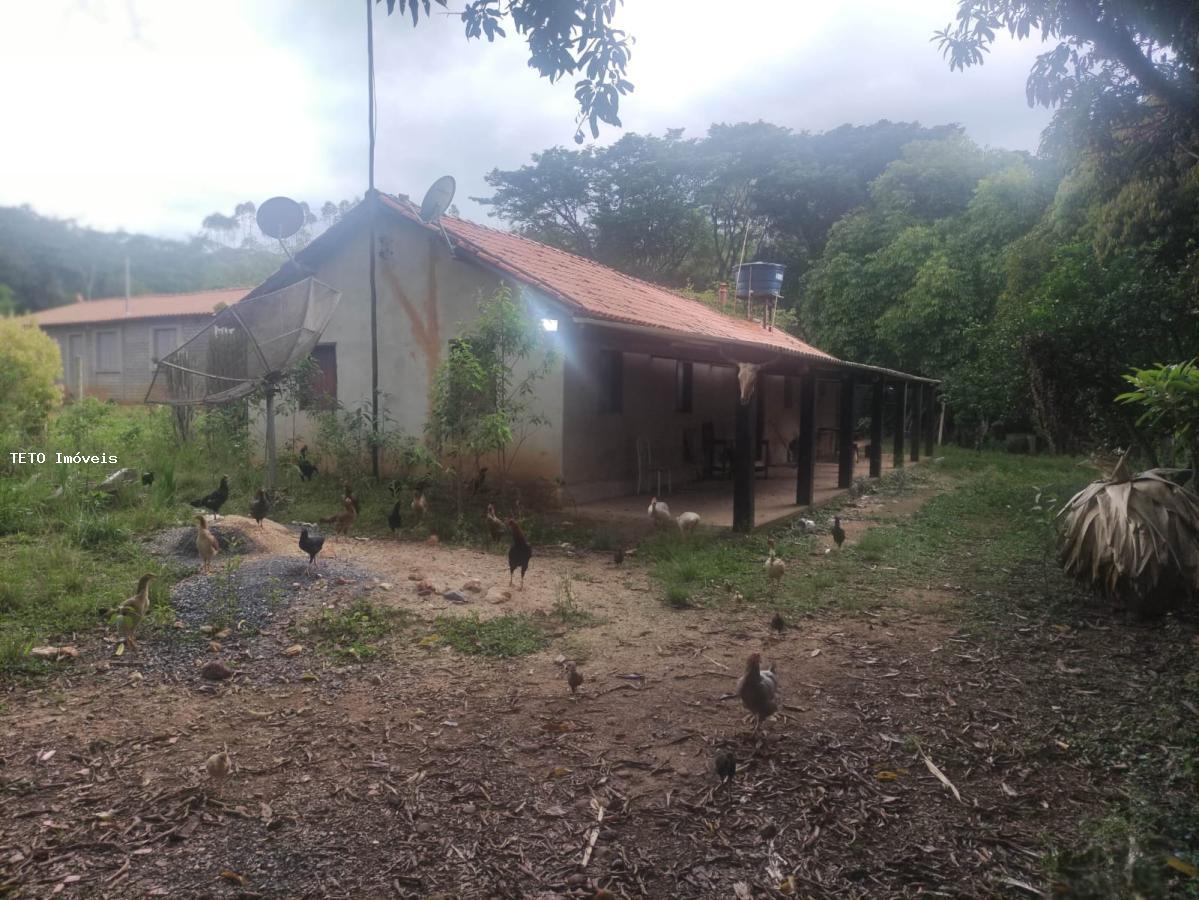 Fazenda à venda com 2 quartos, 3000m² - Foto 2