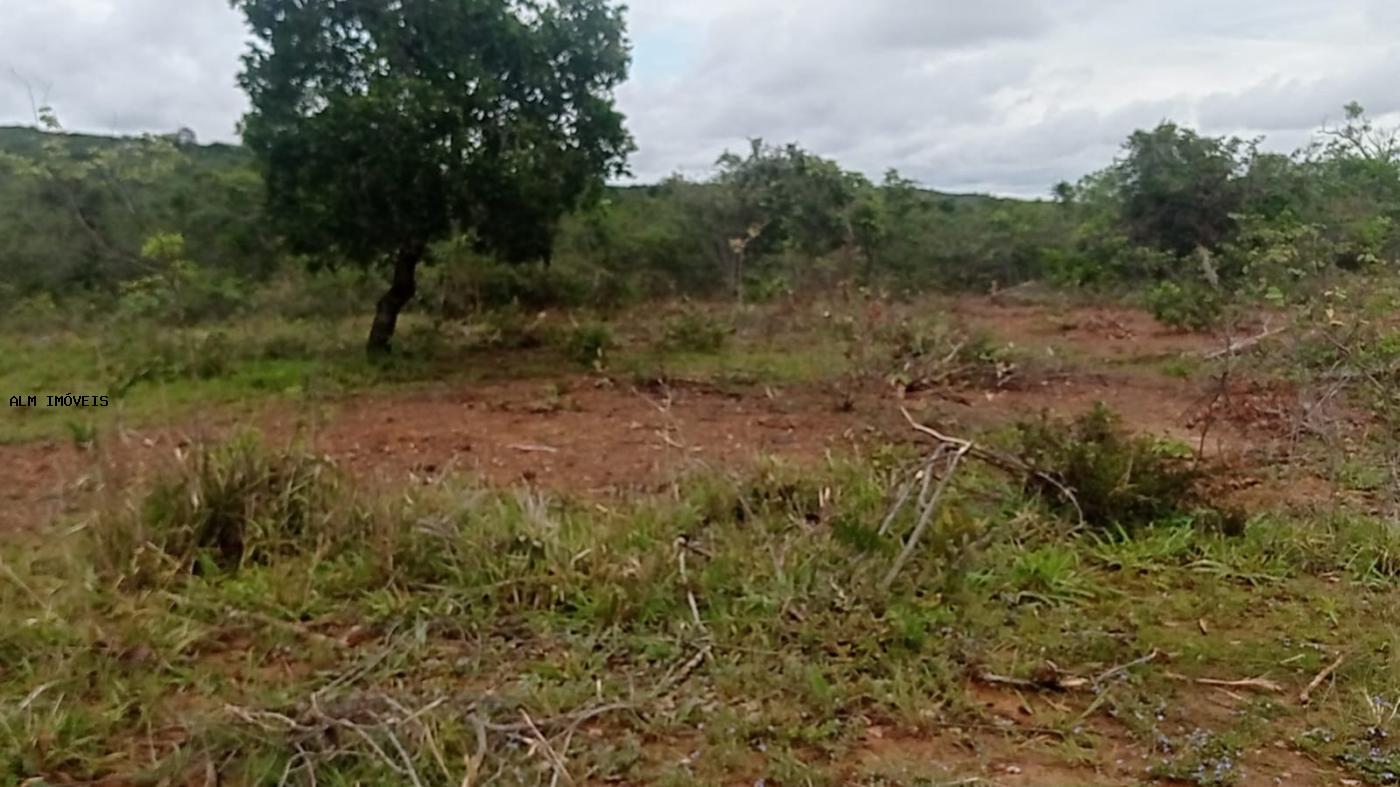Chácara à venda, 26000m² - Foto 12