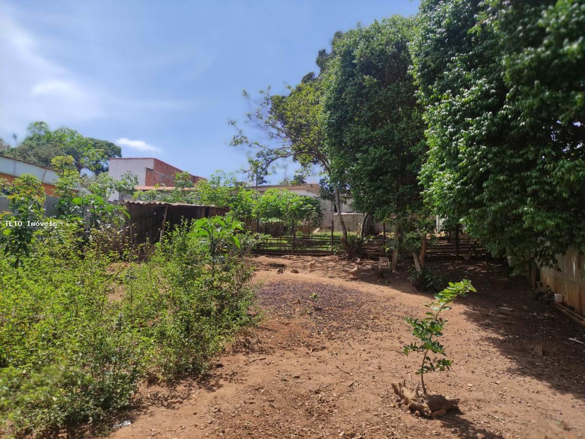 Fazenda à venda com 3 quartos, 1000m² - Foto 36