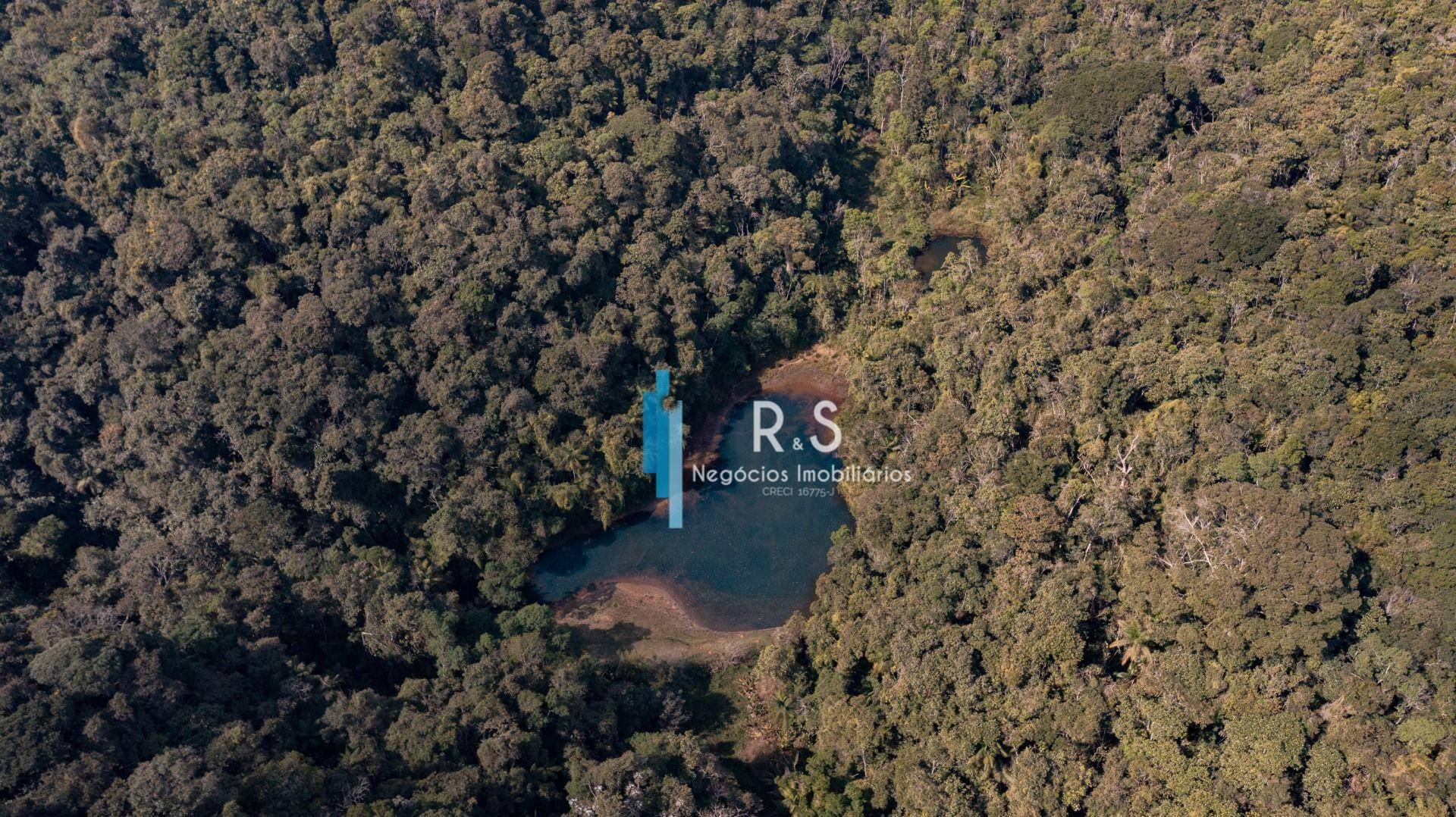 Sítio à venda com 6 quartos, 847000M2 - Foto 9