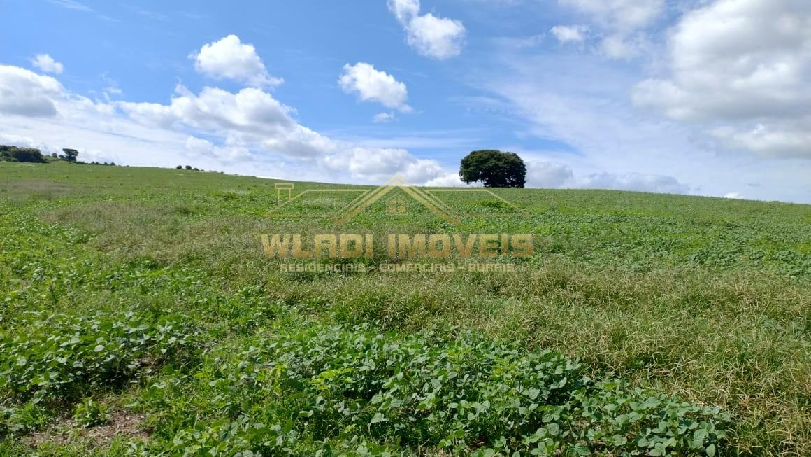 Fazenda à venda, 160m² - Foto 27