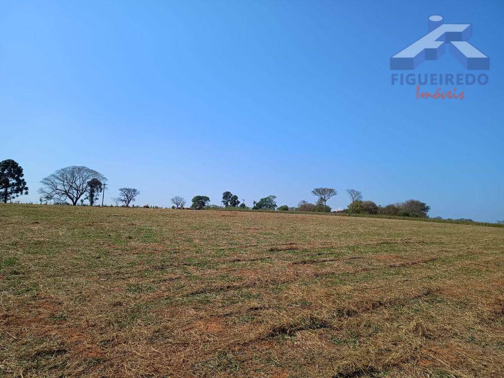 Sítio, 7 hectares - Foto 13