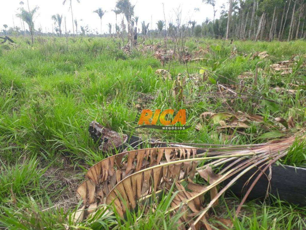 Fazenda à venda, 1150000M2 - Foto 37