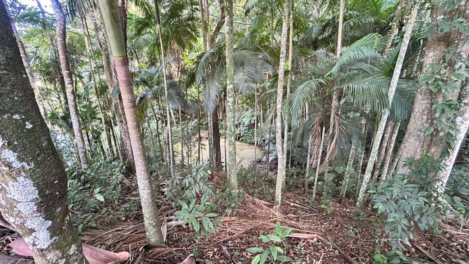 Sítio, 3 hectares - Foto 55