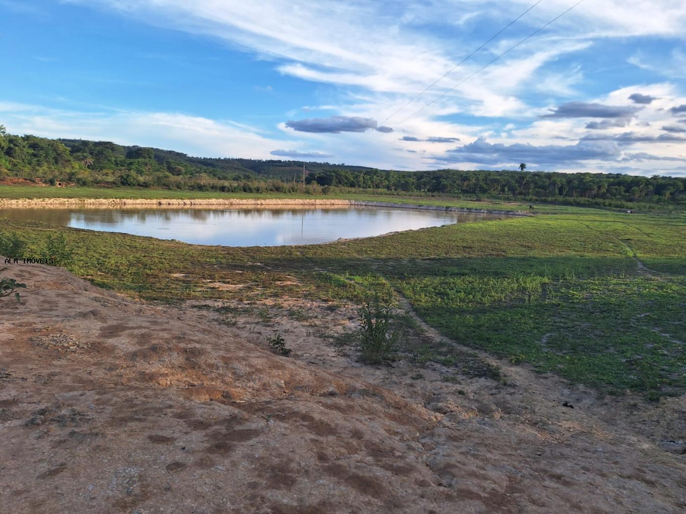 Fazenda à venda, 26000m² - Foto 2