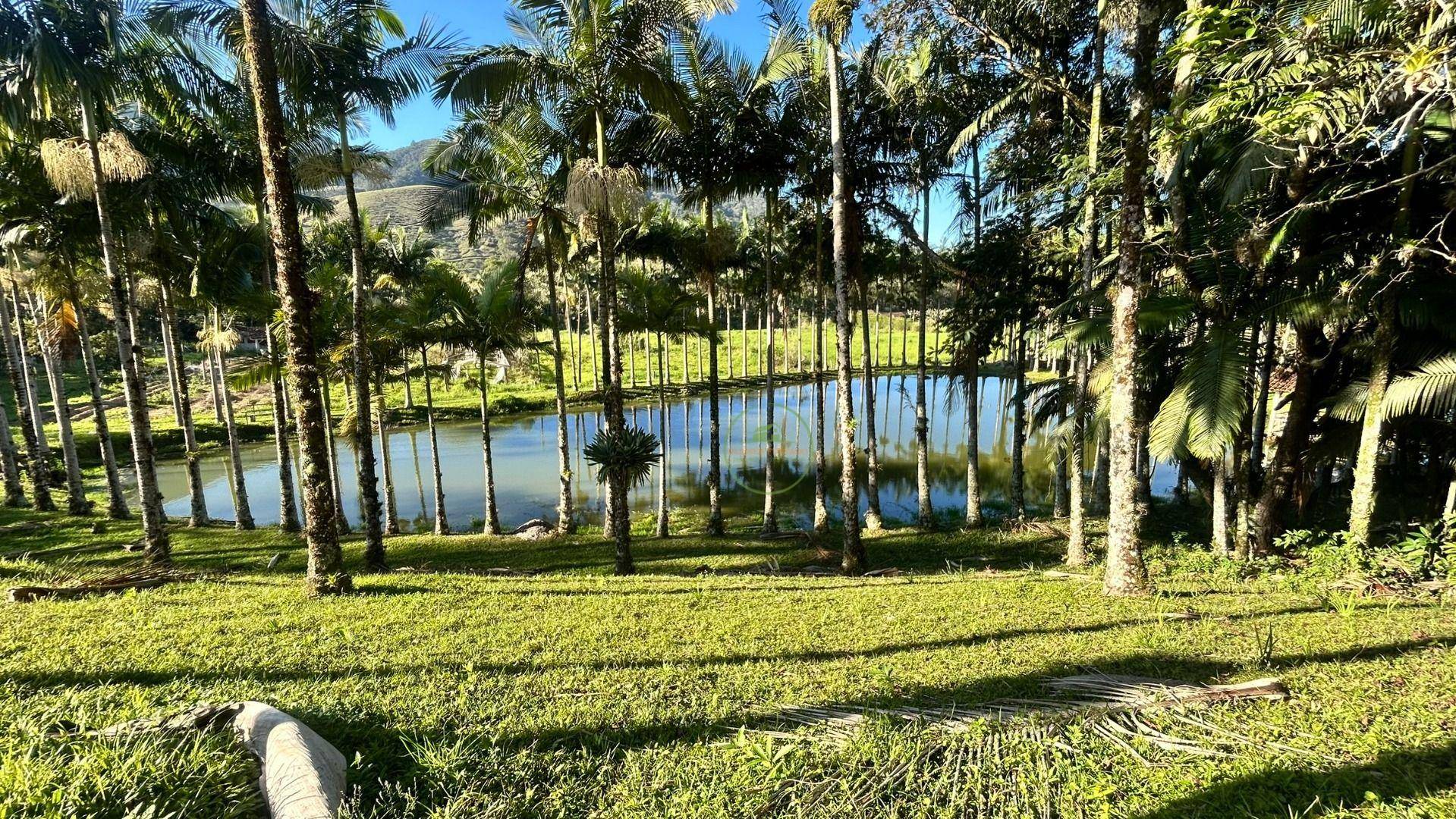 Sítio, 19 hectares - Foto 44