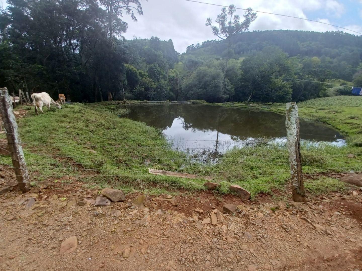 Loteamento e Condomínio à venda, 250000m² - Foto 11