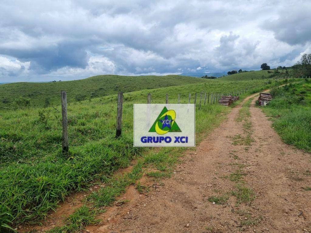 Fazenda-Sítio-Chácara, 250 hectares - Foto 42