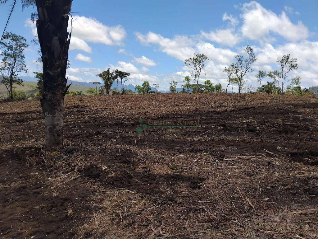 Terreno à venda, 23400M2 - Foto 2