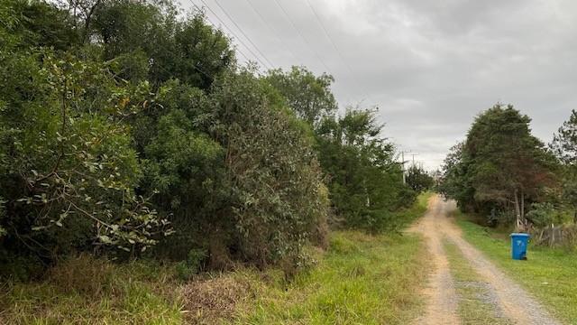 Terreno à venda, 10000m² - Foto 6