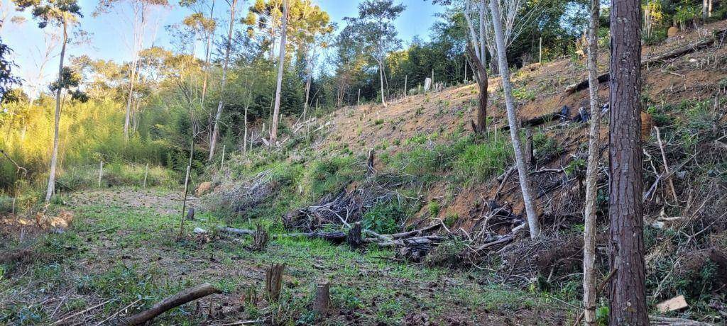 Loteamento e Condomínio à venda, 1750M2 - Foto 5