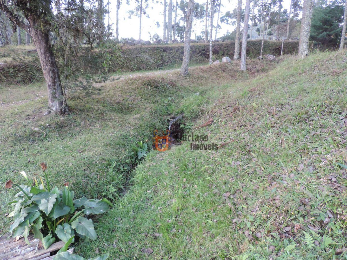 Sítio, 2 quartos, 100 hectares - Foto 3