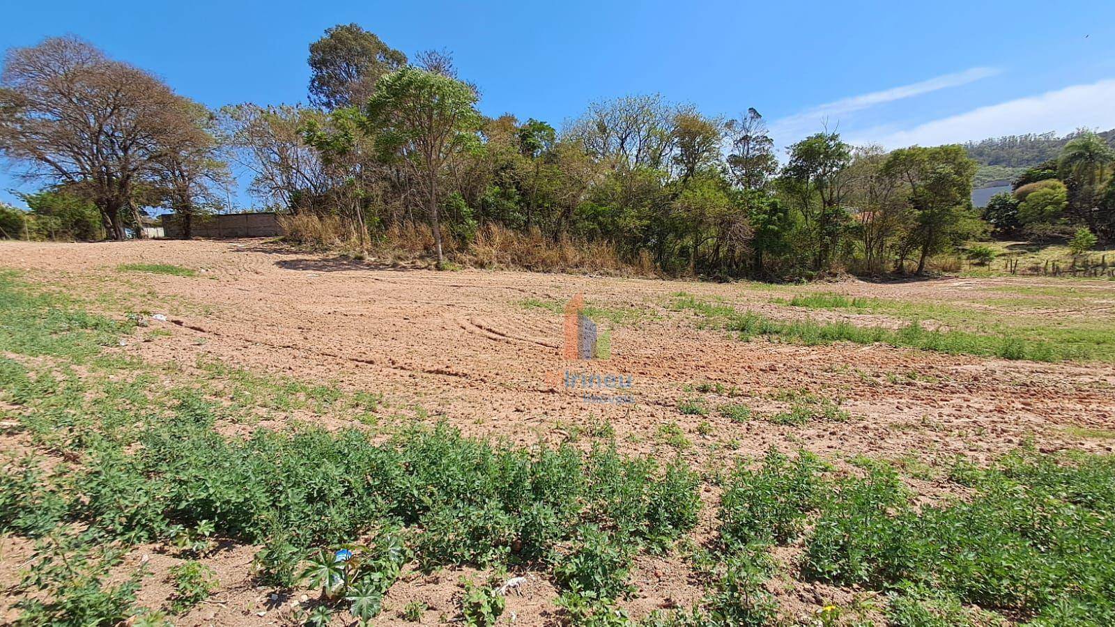 Terreno, 4900 m² - Foto 3