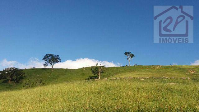 Fazenda à venda, 479160M2 - Foto 11