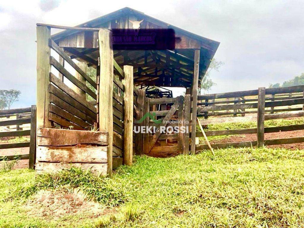 Fazenda à venda com 3 quartos, 1875500M2 - Foto 14