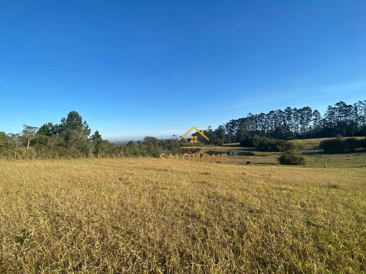 Sítio, 13 hectares - Foto 12