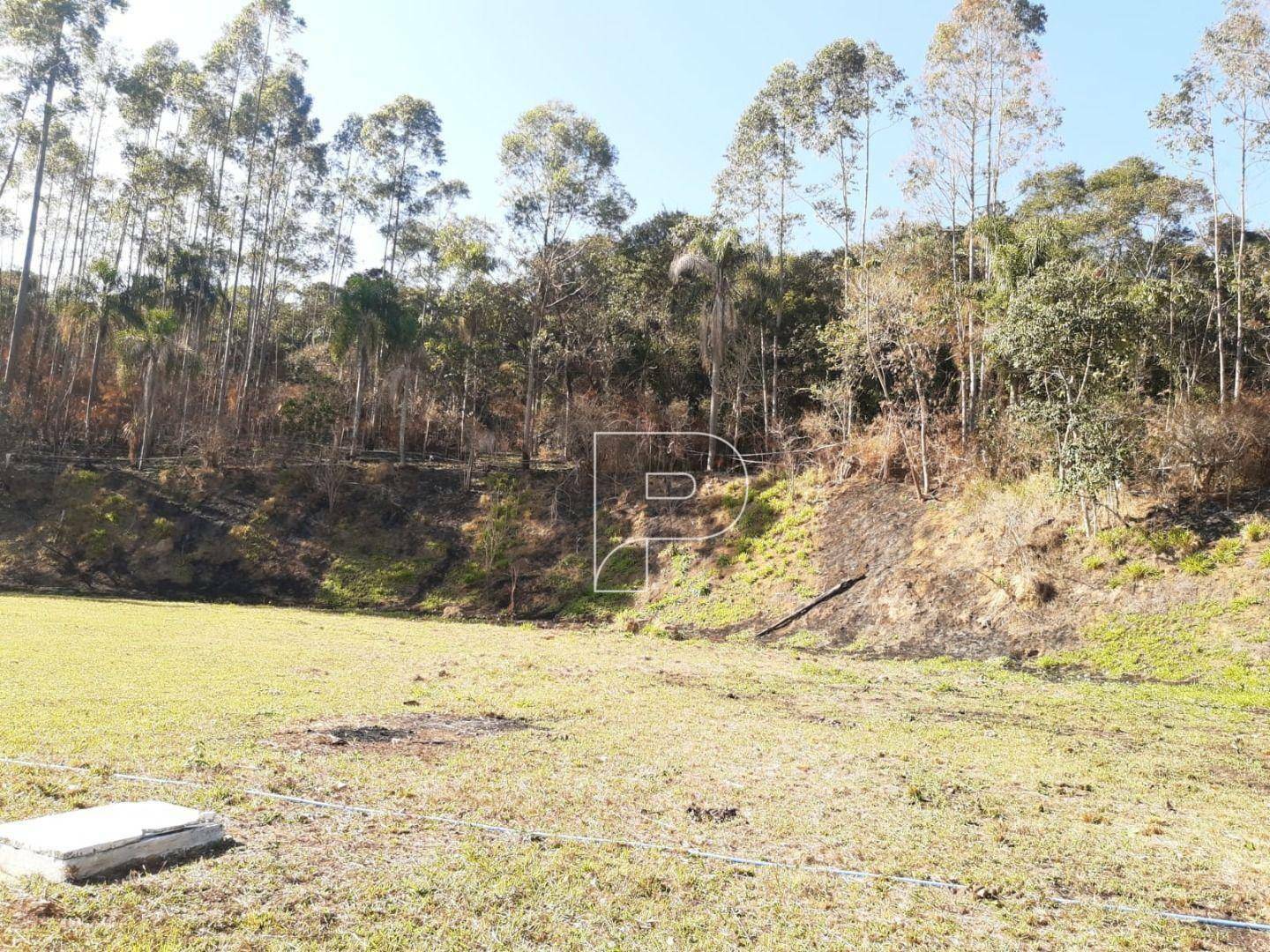 Terreno à venda, 20000M2 - Foto 4