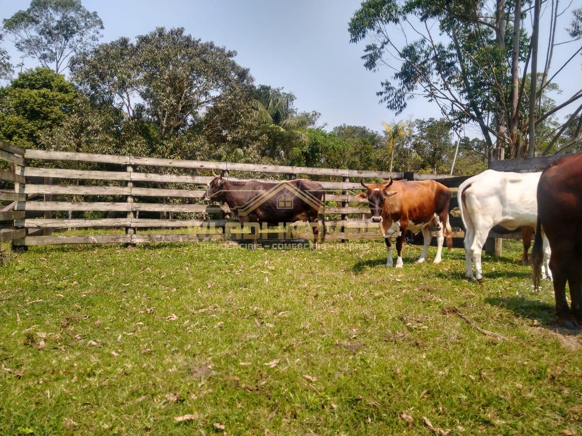 Fazenda à venda, 620m² - Foto 4