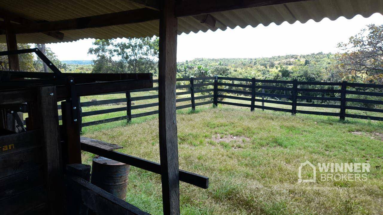 Fazenda à venda com 2 quartos, 4500000M2 - Foto 49