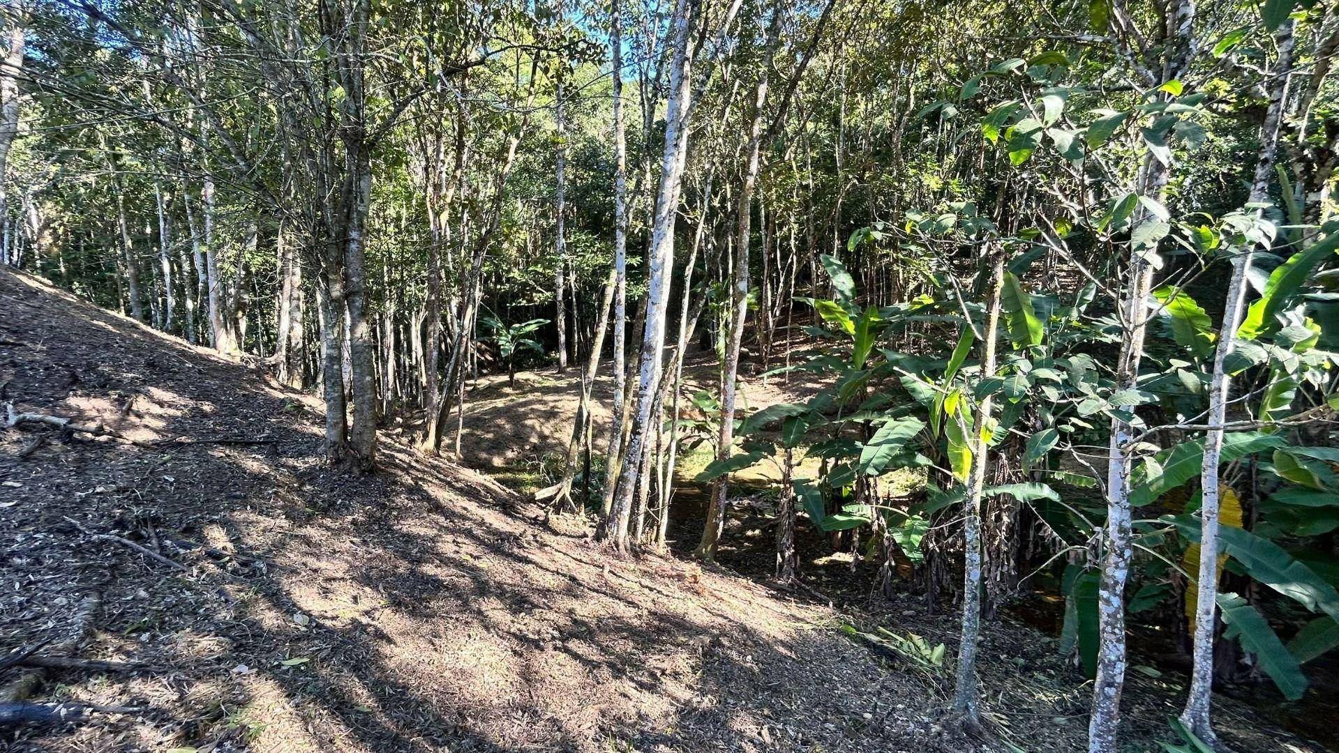 Terreno, 10000 m² - Foto 18