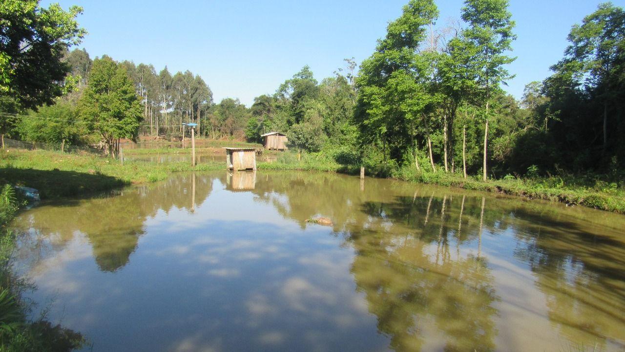 Casa à venda com 1 quarto, 36000m² - Foto 6