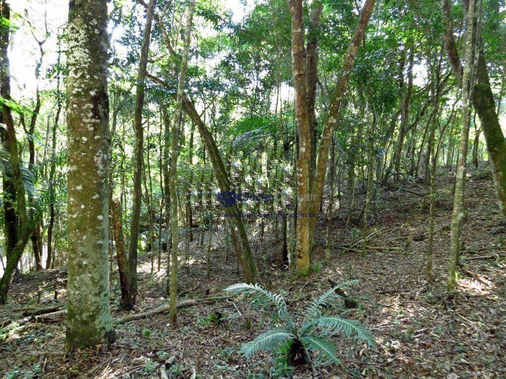 Loteamento e Condomínio à venda, 1250M2 - Foto 4