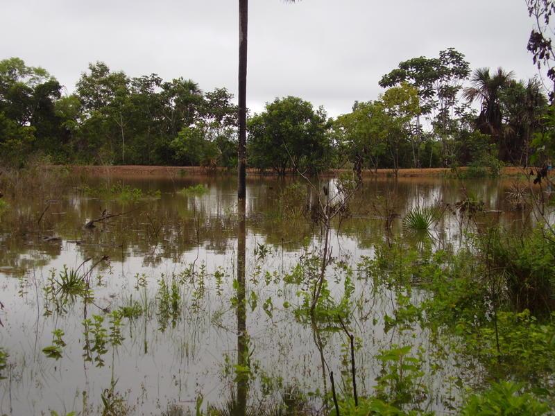 Fazenda à venda - Foto 2