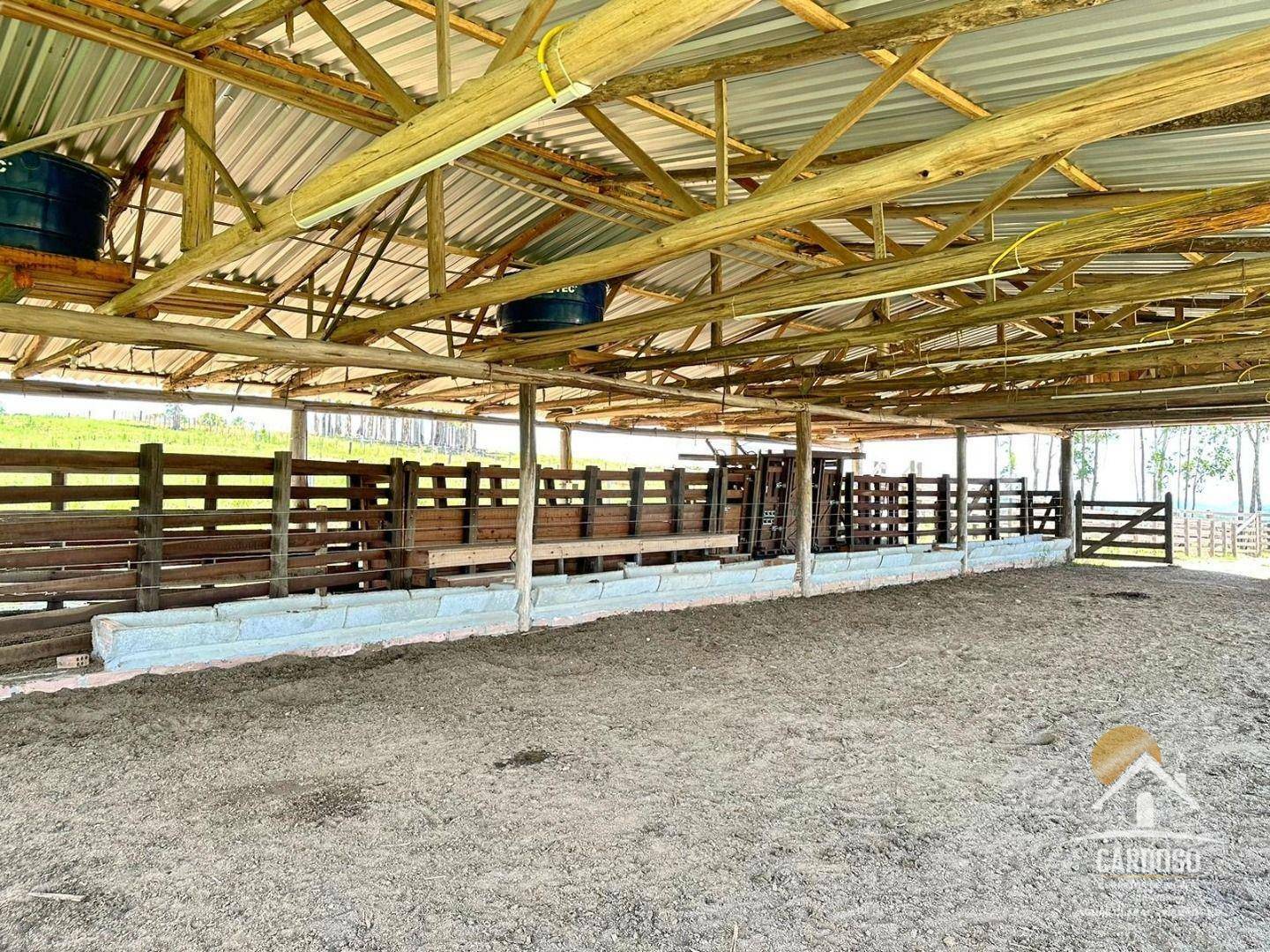 Fazenda à venda com 3 quartos, 1065000M2 - Foto 5