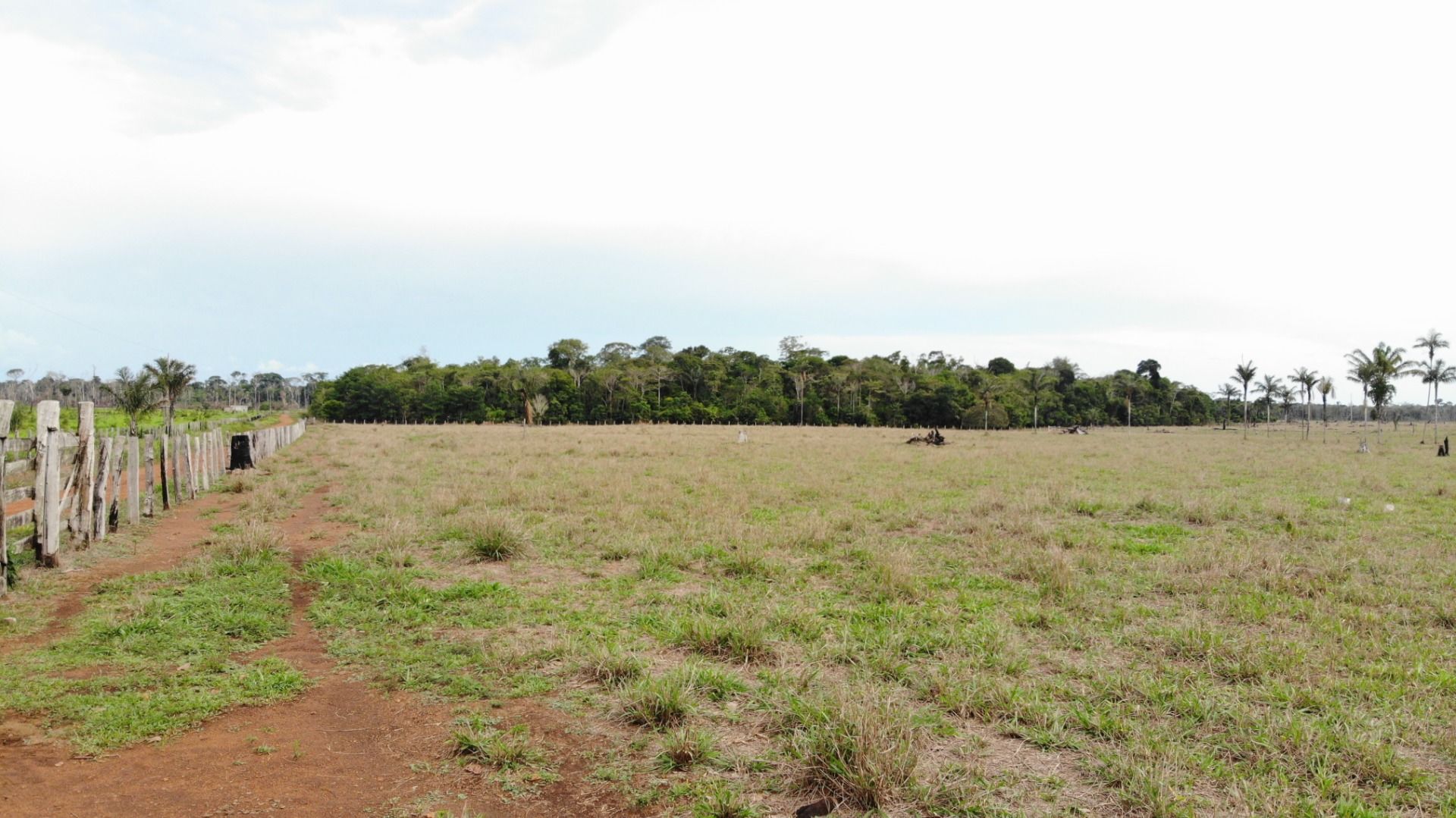 Fazenda à venda, 4840000M2 - Foto 8