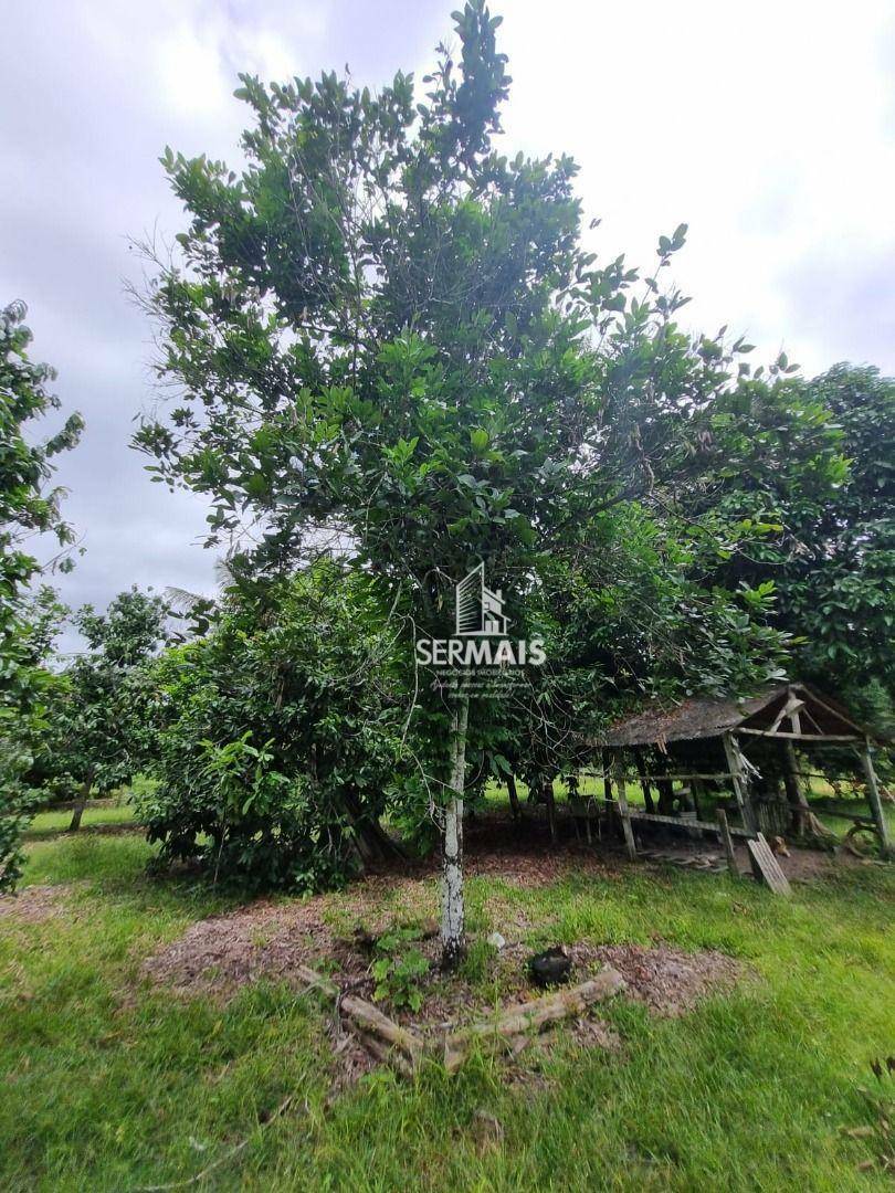Chácara à venda, 6000M2 - Foto 12