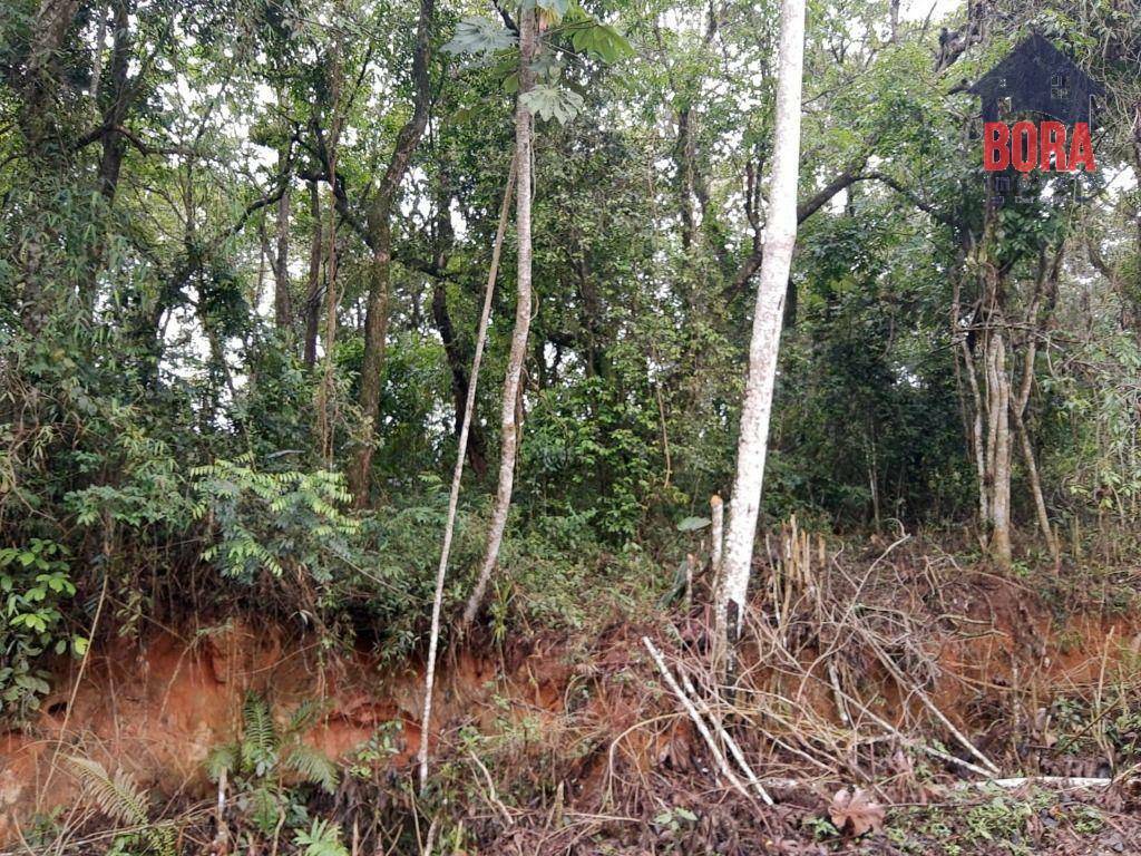 Loteamento e Condomínio à venda, 1250M2 - Foto 5